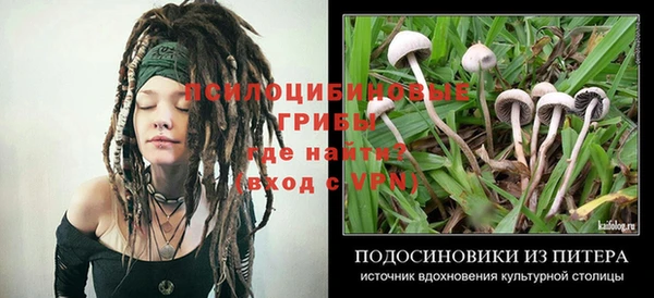 spice Армянск