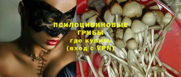 spice Армянск