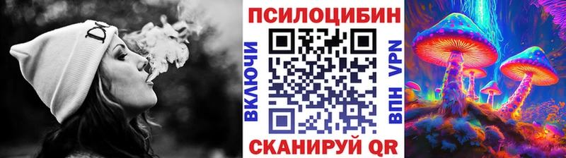 hydra ссылка Пушкино Псилоцибиновые грибы ЛСД