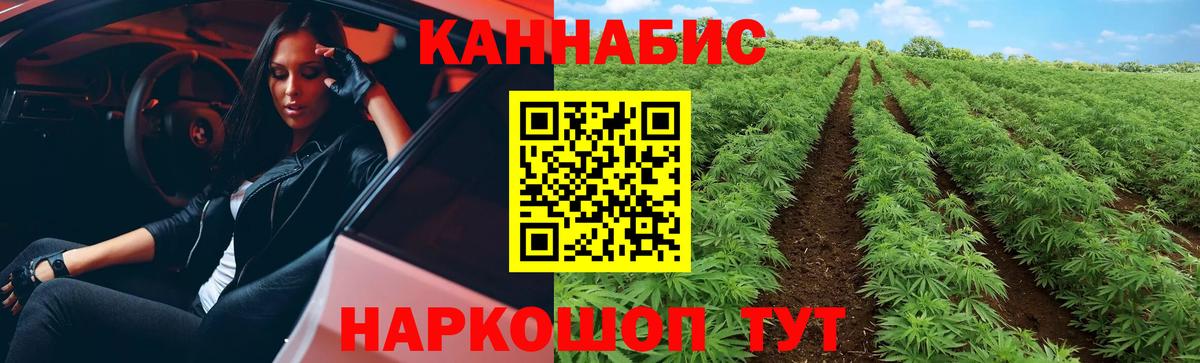 Бошки марихуана планчик  Каннабис гибрид  Пушкино  Вход с VPN 